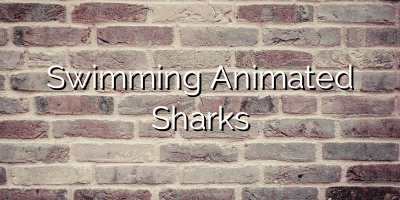 Swimming Animated Sharks